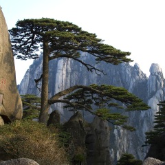 玉屏景区
