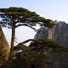 玉屏景区