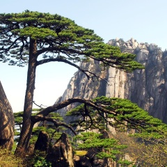 玉屏景区