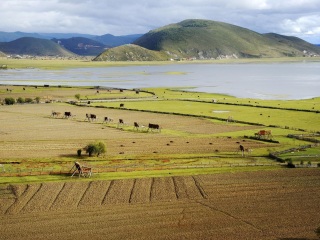 香格里拉纳帕海
