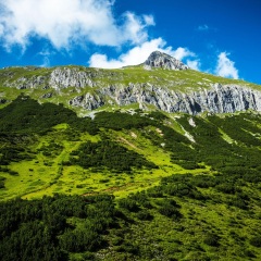 苍山