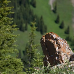 苍山