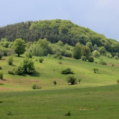 苍山