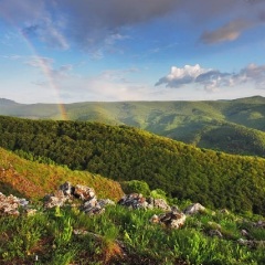 苍山