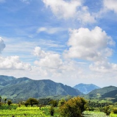 苍山