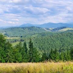 苍山