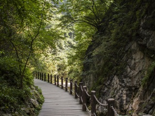 金丝大峡谷国家森林公园