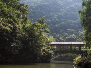 金丝大峡谷国家森林公园