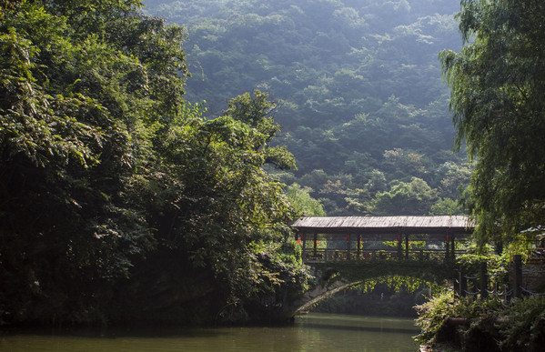 金絲大峽谷國家森林公園圖片