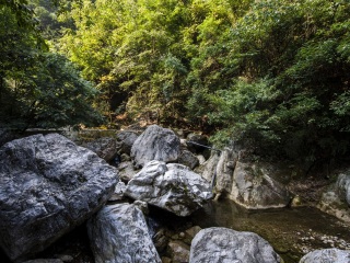 金丝大峡谷国家森林公园