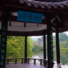 花港观鱼