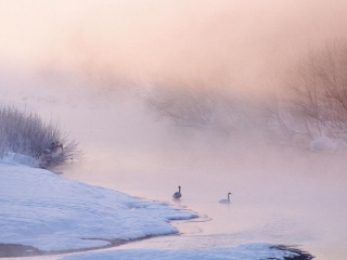 鄂霍茨克流冰馆