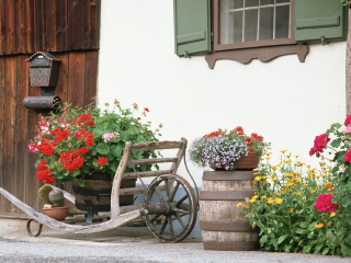 施普罗伊埃尔霍夫街