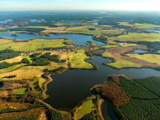 奥斯特西巴德塞林