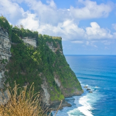济州岛