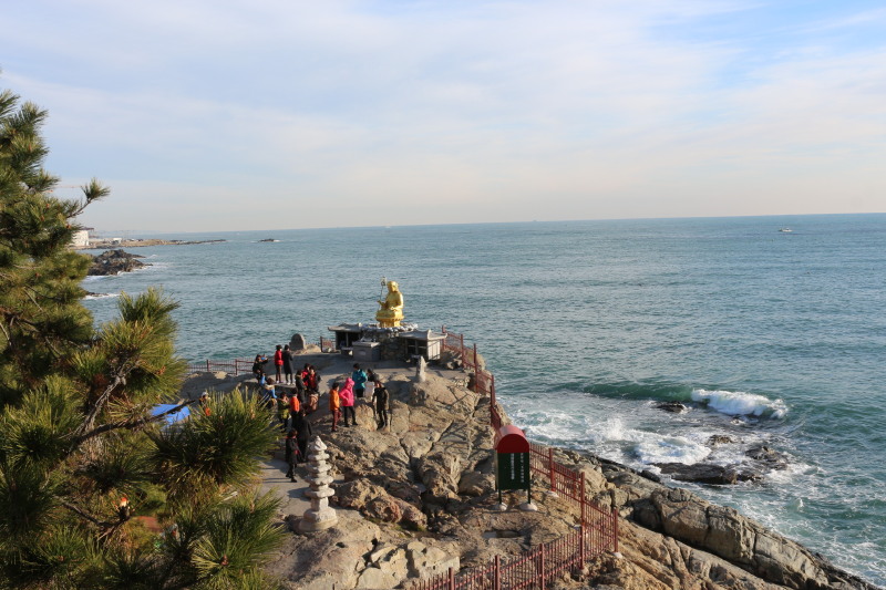 【韩国】游釜山,大邱 品札嘎其海鲜_花港观鱼旅图_途牛