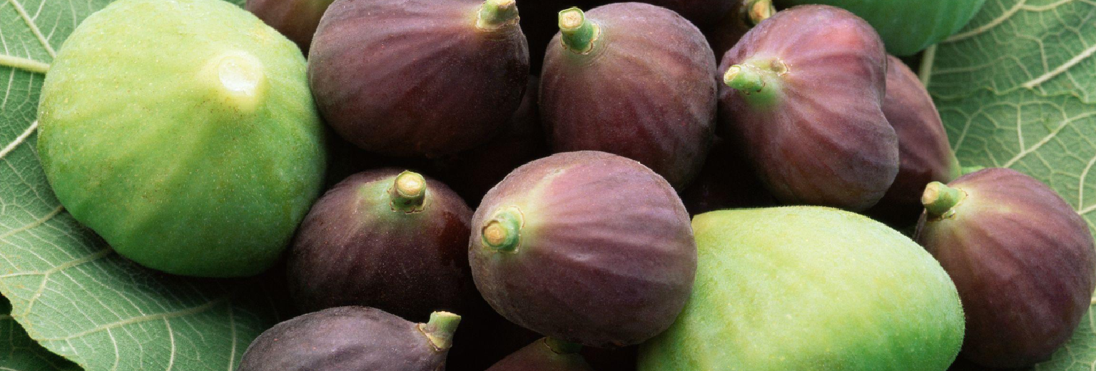 无花果之乡-阿图什旅游攻略