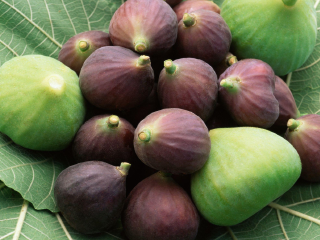 无花果之乡－阿图什