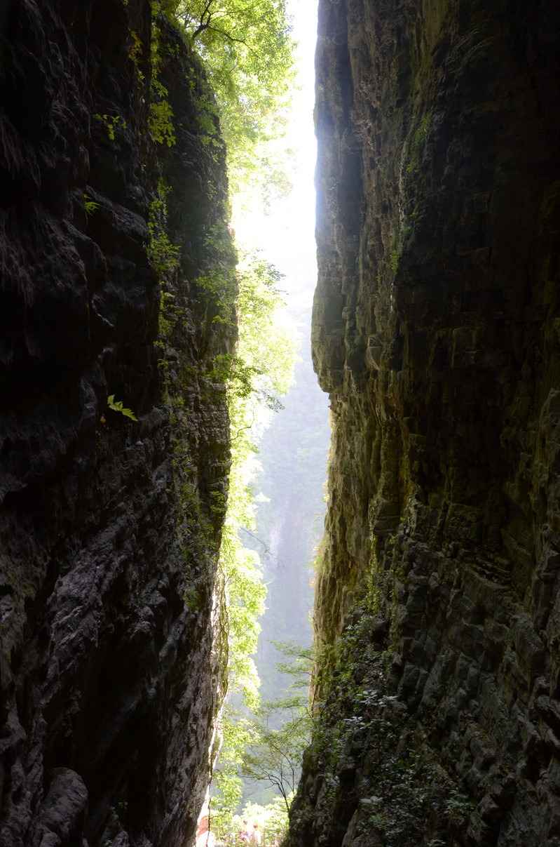 进入峭壁对峙的峡谷之中,很窄很深在茂密的树丛藤蔓中露出了通天一线