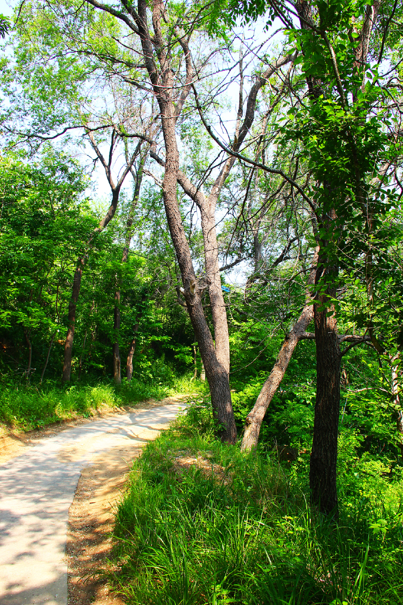 玩转大连海洋岛原生态海岛