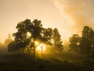 伯伊莱海尔库拉内.D