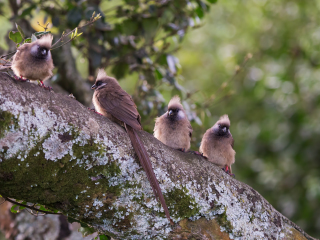 阿伯德尔国家公园