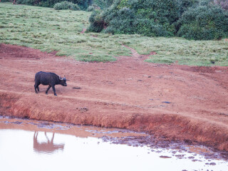 阿伯德尔国家公园