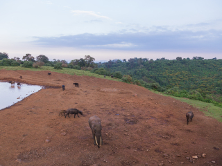 阿伯德尔国家公园
