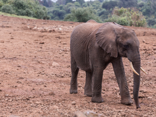 阿伯德尔国家公园