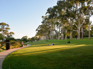 珀斯国王公园
