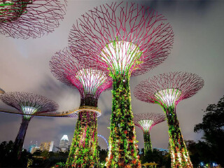 金沙酒店空中花园