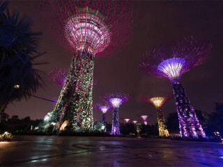 金沙酒店空中花园