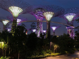 金沙酒店空中花园