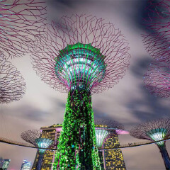 金沙酒店空中花园3