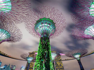 金沙酒店空中花园