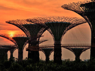 金沙酒店空中花园