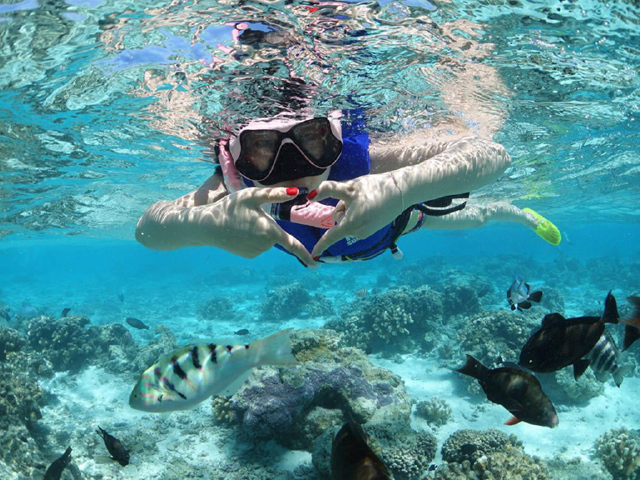  三亚5a宝岛分界洲岛1日游>户外拓展潜水,可升级深潜,沙滩游戏,含篝火