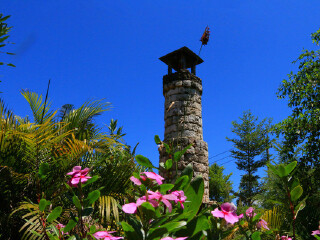 彩桥记忆红树林湿地旅游度假区
