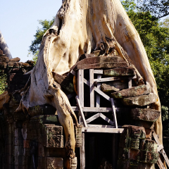 圣剑寺的#旅图换旅费#