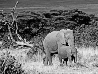 安博塞利国家公园