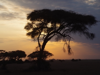 安博塞利国家公园