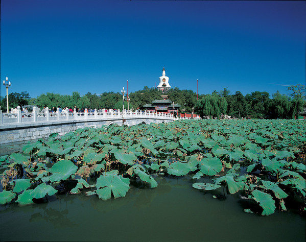 北海公園門票價格: 旺季(4月1日-10月31日):門票:10元/人 聯票:20元