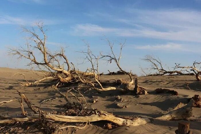 三千公里的行程,只为以你三千年后的相遇