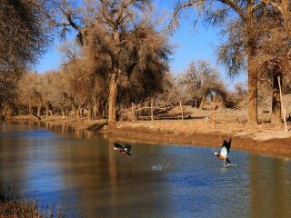 弱水金沙湾景区