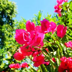 塔山的#旅图换旅费# #殿堂庙宇#