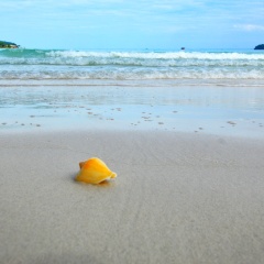 高龙撒冷岛的#旅图换旅费# #海岛游# #自然风光#
