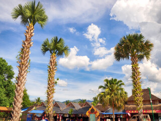 西双版纳傣族园国家级非物质文化遗产展示区