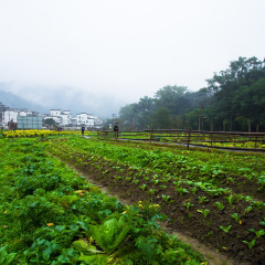 晓起的#旅图换旅费#