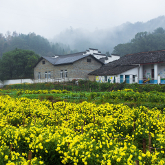 晓起的#旅图换旅费#