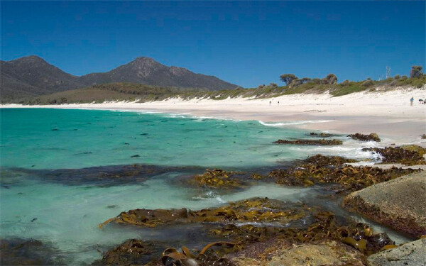 劳动节去巴布亚新几内亚旅游必备物品_劳动节去巴布亚新几内亚旅游